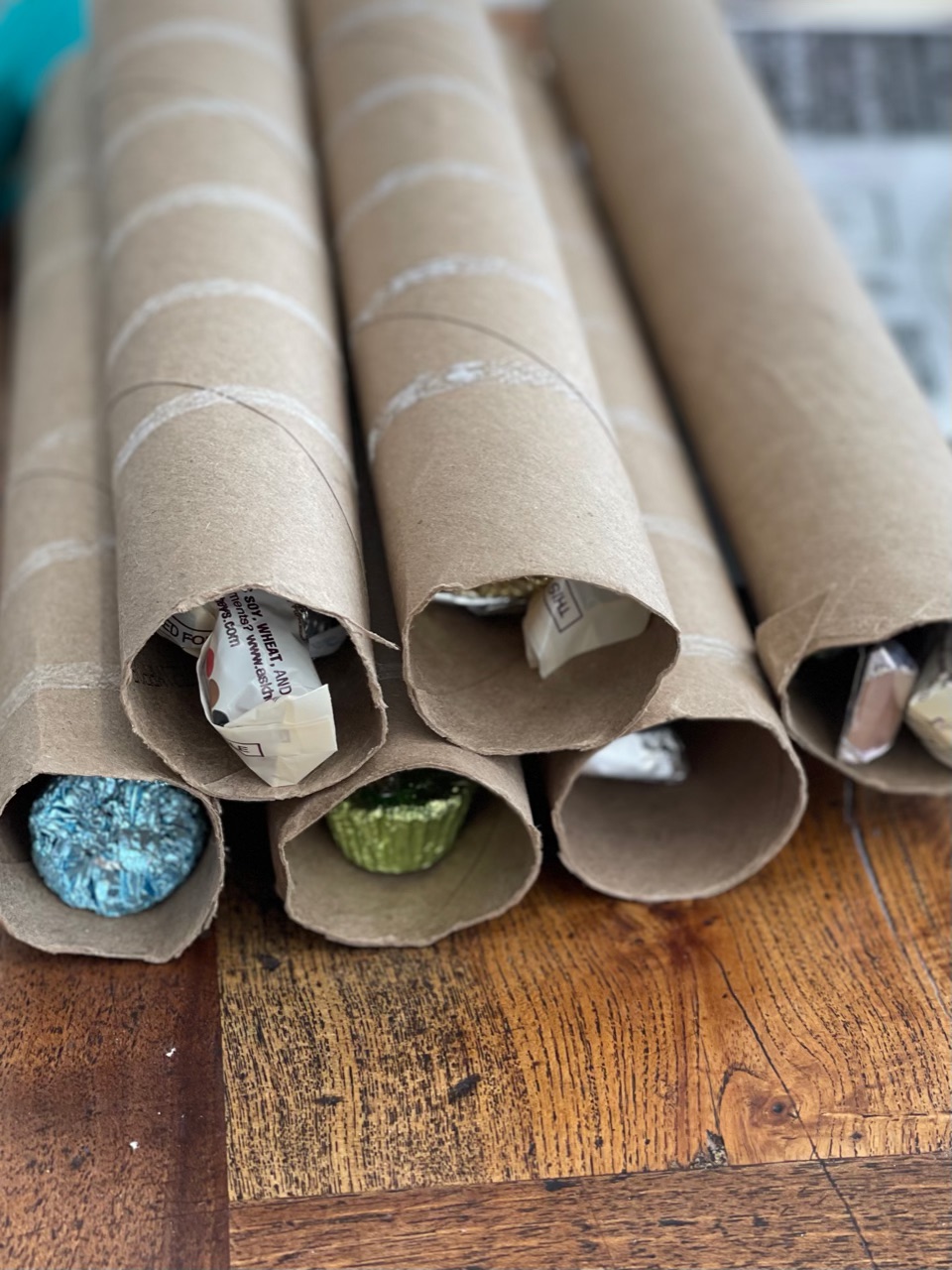 Day 8. Earth Day - Paper Towel Rolls- Save Them! - The Daily Marker